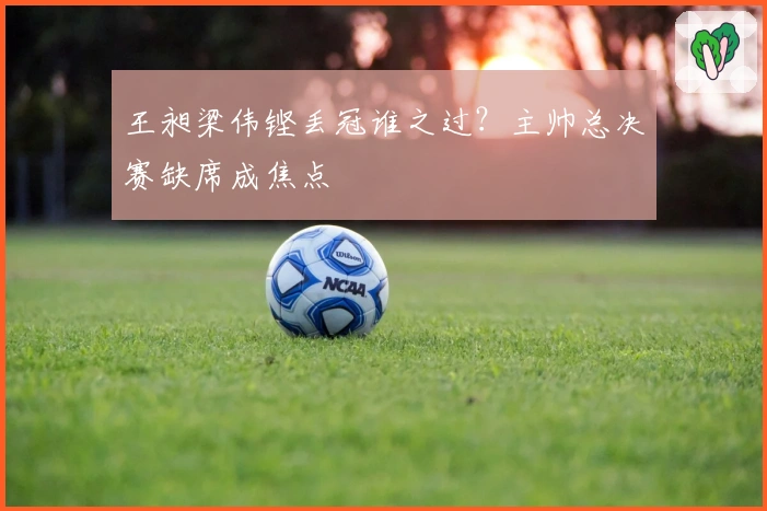 王昶梁伟铿丢冠谁之过？主帅总决赛缺席成焦点